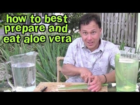 how to replant aloe vera pups