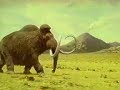 Nissin Cup-O-Noodle Mammoth