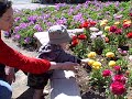 Playing with Flower
