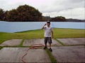 ataque dos golfinhos 2