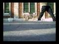 Diest cwalk meeting