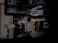 videos de mio fratello lotta con bill e tom kaulitz!