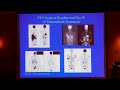 Targeted Therapy: BRAF and Beyond