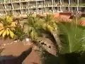Tsunami