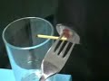 Catal kasigin dengesi