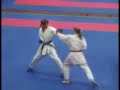 sherilyn karate.