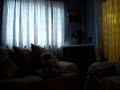 Otra vez la queta puerca xxx Manele-Gratis.net