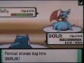 D-P-Wi-Fi-Battle-Sup