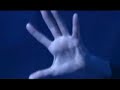 Plastic Tree - Planetarium ??????? live from \"ZERO\" Plastic Tree - Planetarium ??????? live from \"ZERO\"