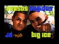 Big Ice remix-Versos Cogidos