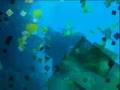 buceo