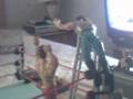 stop motion3