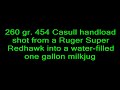 454 Casull Handload vs. Milkjug