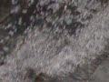 Granizo en Buenos Aires- 11 de agosto 2008