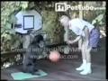 Der Hundesport