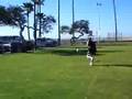 newport de sakkaa