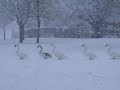 Frohe Weihnachten und einen guten Rutsch