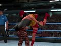 Black Canary vs Elektra (HD)