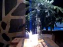 Burning Vodka Burning Vodka