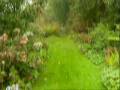 Ecotuintip 3: gazonpaadjes