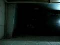 videos de Peek-a-booo Hahaha