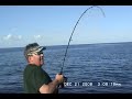 GIANT GREATER AMBERJACK BATTLE #2