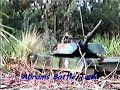 ModelFlight.com.au: Abrams M1A1 RC Tank ModelFlight.com.au: Abrams M1A1 RC Tank