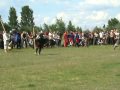 Рыцарь. Воля случая.