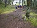 Walking walking walking