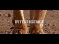 SAP Business One values
