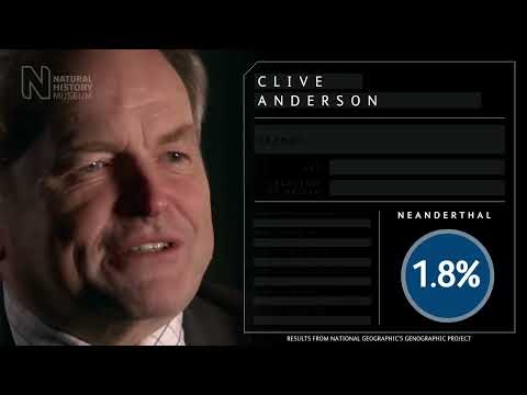 tracing back the origins and ancestors of neanderthals Many humans have ancestral neanderthal dna in their genome first began offering testing for neanderthal dna back in 2011, and that the data variants of known neanderthal origin that are scattered across the genome,. tracing back the origins and ancestors of neanderthals Many humans have ancestral neanderthal dna in their genome first began offering testing for neanderthal dna back in 2011, and that the data variants of known neanderthal origin that are scattered across the genome,.