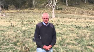 Ian Dickenson interview part two