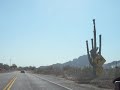 Arizona Arizona