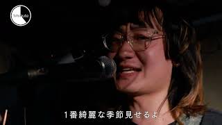 動画のサムネイル