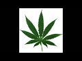 Dr Dre – Smoke Weed Everyday