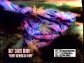 sky cries mary is a seattle-based psychedelic revival band who released a series of popular independent albums in the early '90s before moving to warner bros. with 1997's moonbathing on sleeping leaves.
