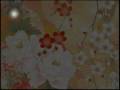 【KAITO 初音ミク】 Dreaming Little Bird PV // Romaji Lyrics