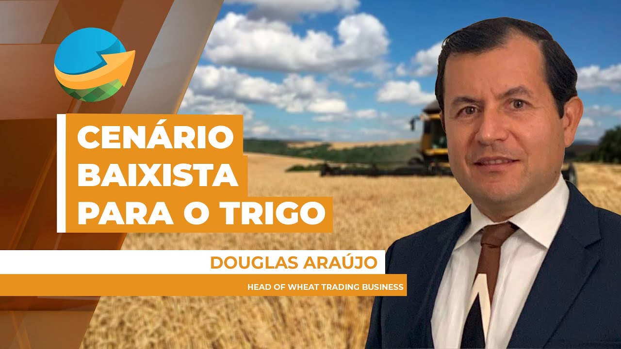 Boletim De Mercado Do Trigo - Edição 11-06-2025