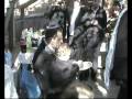 videos de SDV 0148