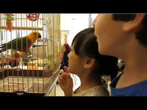 See video