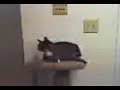 boy-gets-scared-to-tears.html