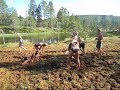 Mosskrig i Tand�dalen