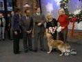 Tribute to Rookie / Canine Freestyle