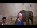 Fellini's Satyricon "Visiting the Brothel" (1969)