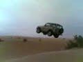 Land Cruiser Flies