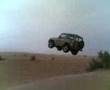 Land Cruiser Flies