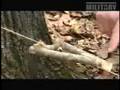 Weaponology - Booby Traps - Part 2