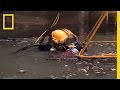 Sewer Diving