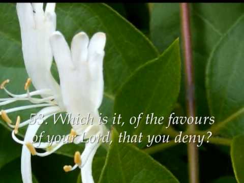 Surah 55 Ar-Rahman Recited by Sheikh Abu Bakr Shatri