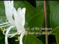 Surah 55 Ar-Rahman Recited by Sheikh Abu Bakr Shatri